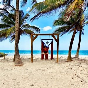 Meet your Posher, Bella